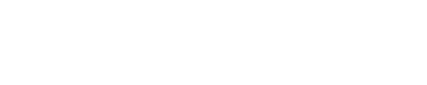 D5 Render